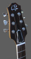T-2 Custom, Black Limba - head