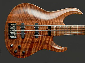 5-string bolt-on bass, Curly Redwood top